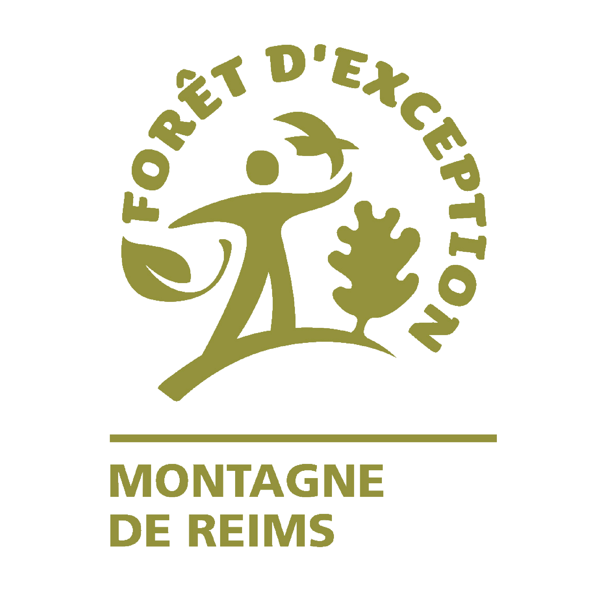  Forêt d'Exception - Montagne de Reims 